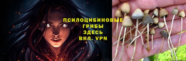 прущие грибы Верхнеуральск