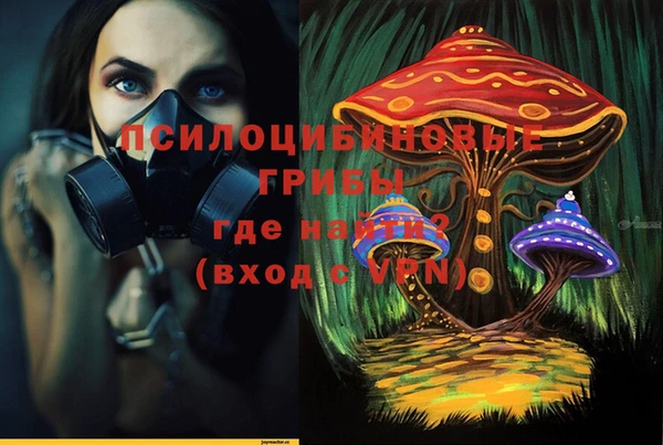 соль курить ск Бородино