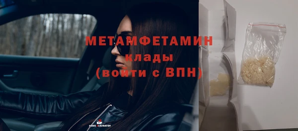 индика Волосово