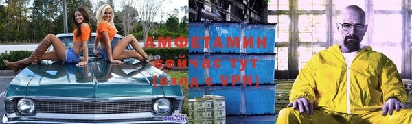 индика Волосово