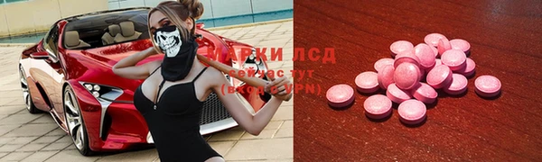 индика Волосово