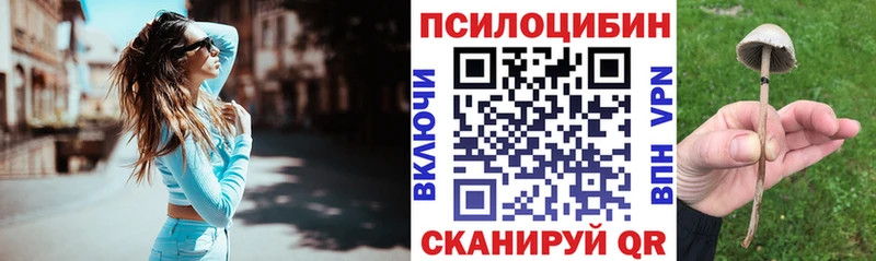 Галлюциногенные грибы мицелий Видное